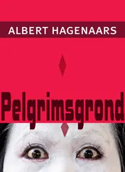 Omslag van Pelgrimsgrond