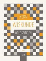 Omslag van Oplossingen