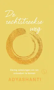 Omslag van De rechtstreekse weg