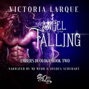 Omslag van Angel Falling