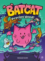Omslag van Batcat