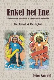 Omslag van Enkel het Ene