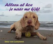 Omslag van Alleen al hoe je naar me kijkt