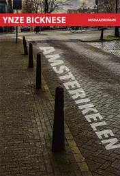 Omslag van Amsterikelen