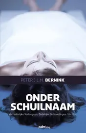 Omslag van Onder schuilnaam