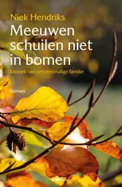 Omslag van Meeuwen schuilen niet in bomen