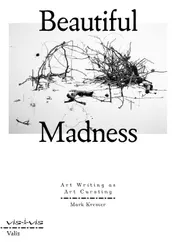 Omslag van Beautiful Madness