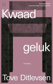 Omslag van Kwaad geluk