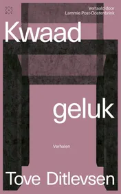 Omslag van Kwaad geluk