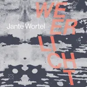 Omslag van Weerlicht