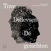 Omslag van De gezichten