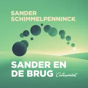 Omslag van Sander en de brug