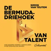 Omslag van De bermudadriehoek van talent