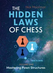 Omslag van The Hidden Laws of Chess