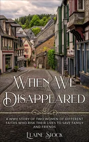 Omslag van When We Disappeared