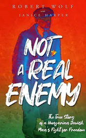 Omslag van Not a Real Enemy