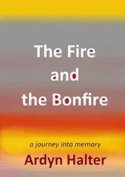 Omslag van The Fire and the Bonfire