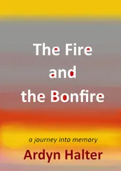 Omslag van The Fire and the Bonfire