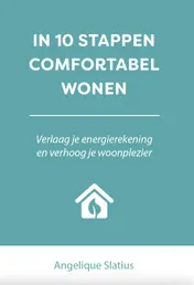 Omslag van In 10 stappen comfortabel wonen