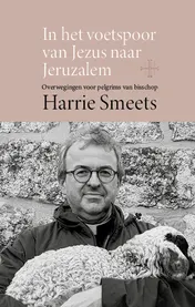 Omslag van In het voetspoor van Jezus naar Jeruzalem