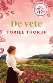 Omslag van De vete