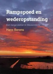 Omslag van Rampspoed en Wederopstanding