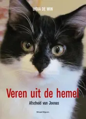 Omslag van Veren uit de hemel