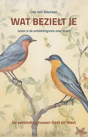 Omslag van Wat bezielt je
