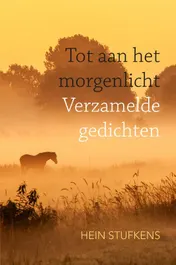 Omslag van Tot aan het morgenlicht