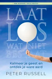 Omslag van Laat los wat niet bestaat