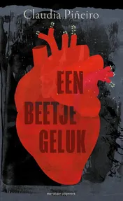 Omslag van Een beetje geluk