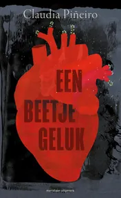 Omslag van Een beetje geluk