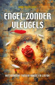 Omslag van Engel zonder vleugels