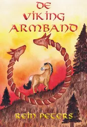 Omslag van De Viking armband