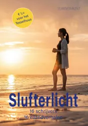 Omslag van Slufterlicht