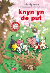 Omslag van knyn yn de put