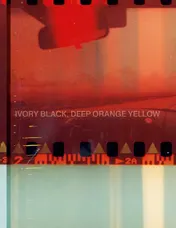 Omslag van Ivory Black, Deep Orange Yellow