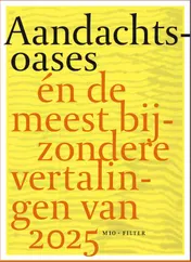 Omslag van Aandachtsoases