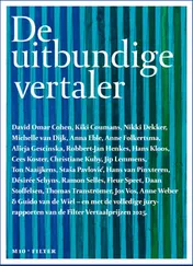 Omslag van De uitbundige vertaler