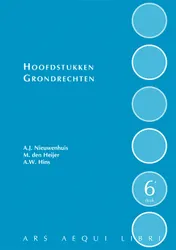 Omslag van Hoofdstukken grondrechten