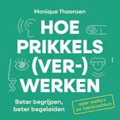 Omslag van Hoe prikkels (ver)werken