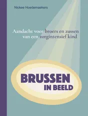 Omslag van Brussen in beeld
