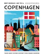 Omslag van Why Should I Go To Copenhagen