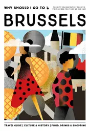 Omslag van Why Should I Go To Brussels