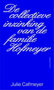 Omslag van De collectieve inzinking van de familie Hofmeyer