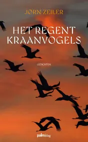Omslag van Het regent kraanvogels