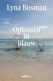 Omslag van Oplossen in blauw