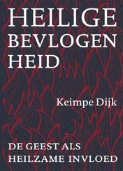 Omslag van Heilige bevlogenheid