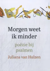 Omslag van Morgen weet ik minder