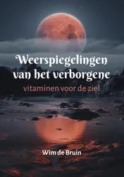 Omslag van Weerspiegelingen van het verborgene